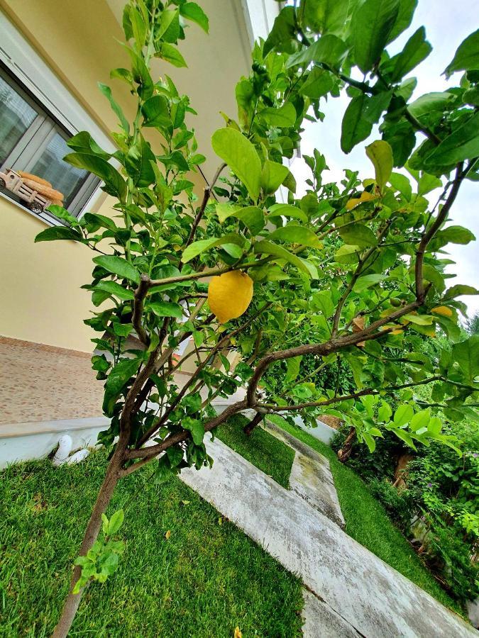 Apartamenty rodzinne Kamena Vourla Buitenkant foto